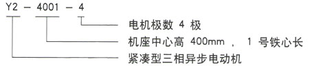 泰富西瑪Y系列三相異步電機型號說明